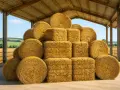 Gros tas de bottes de foin rondes et carrées sous un hangar. Le prix du foin est une préoccupation pour les agriculteurs.