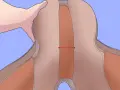 Une main tient une selle de cheval. Une flèche rouge indique comment mesurer la largeur de l'ouverture de la selle, une étape clé pour savoir comment mesurer une selle de cheval.