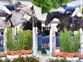 Un cavalier espagnol connu saute un obstacle avec son cheval.