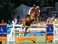 Un cheval brun saute par-dessus une barrière lors d'une compétition équestre, montrant un bel élan de la cour. Le cavalier est bien positionné.