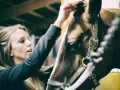 Une jeune femme brosse la crinière d'un cheval dans une écurie. Un moment de complicité qui illustre un emploi équestre passionnant.