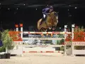 Un cavalier allemand CSO saute un obstacle dans une arène intérieure, sous les lumières vives.