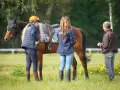 Une femme en tenue d'équitation discute avec un homme près d'un cheval sellé, lors d'une formation cheval pour adulte en extérieur.
