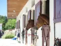 Deux chevaux curieux regardent depuis leurs boxes. Idéal pour le tarif pension chevaux chez particulier, un cadre paisible pour votre compagnon.