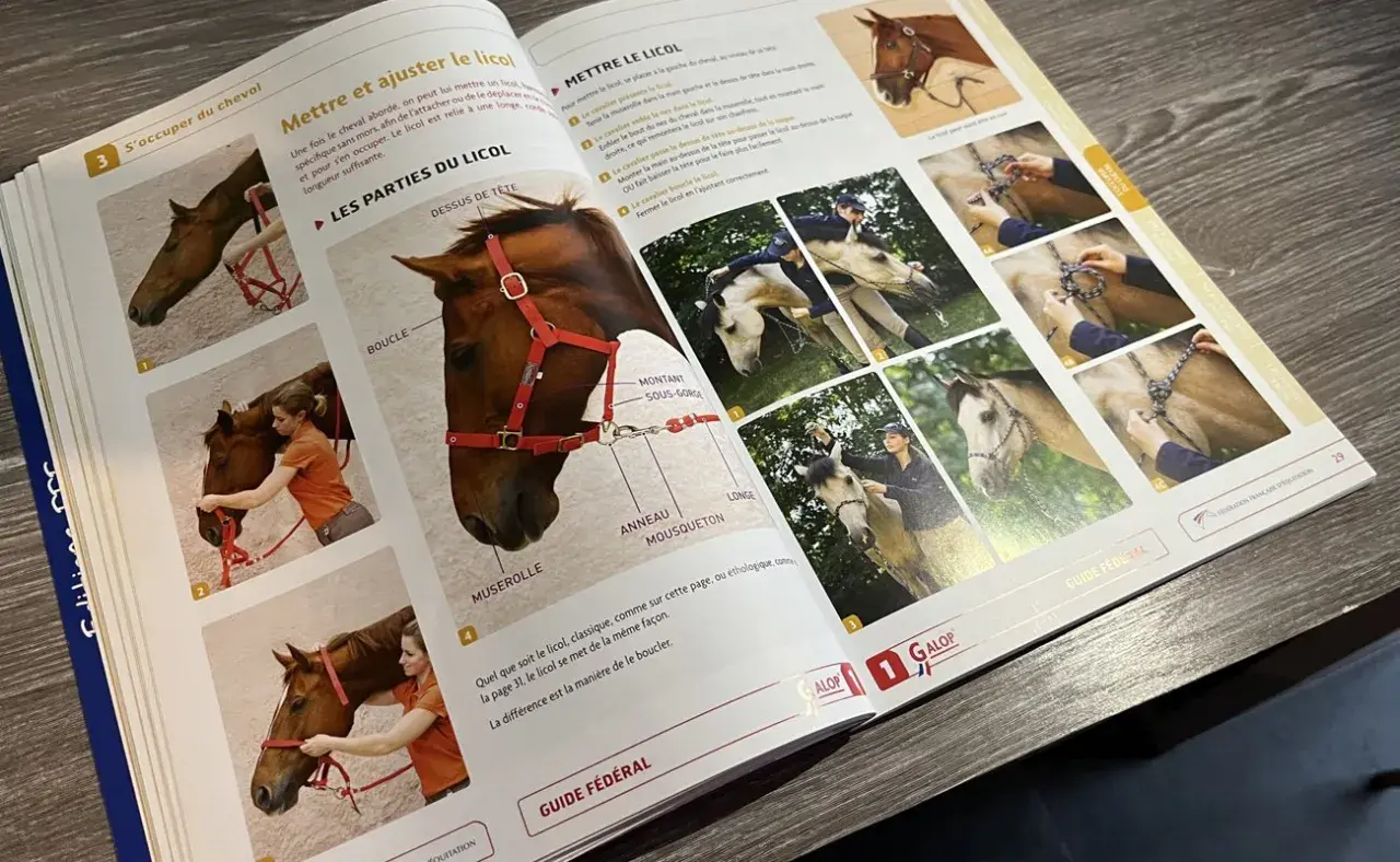 Manuel d'équitation montrant comment mettre un licol à un cheval. Des photos illustrent les étapes, du galop 1 à l'ajustement final.