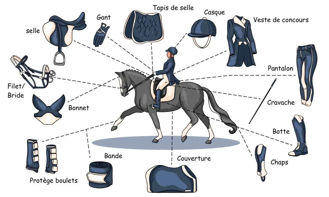 Illustration de l'équipement du cavalier : selle, filet, bonnet, gants, tapis, casque, veste, pantalon, cravache, bottes, chaps, protège boulets et bande.