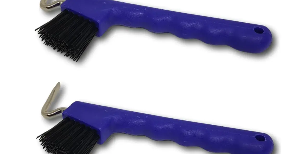 Deux cure-pieds bleus avec brosse noire et crochet métallique pour nettoyer les sabots des chevaux.
