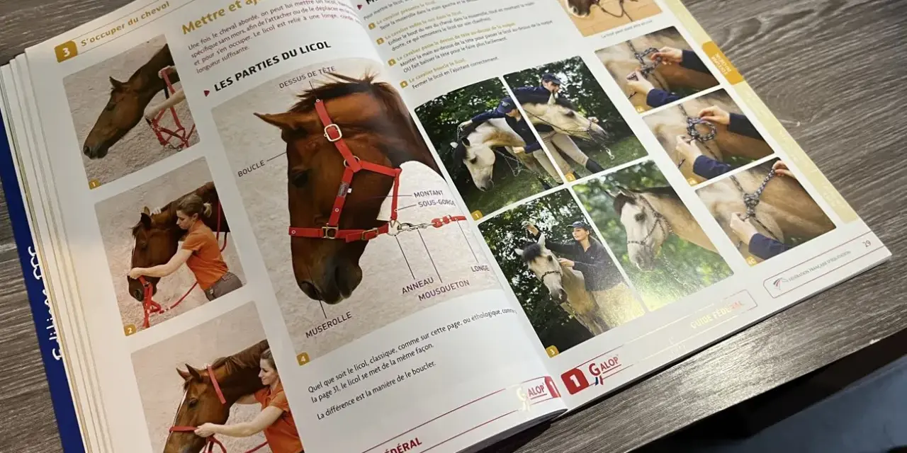 Manuel d'équitation montrant comment mettre un licol à un cheval. Des photos illustrent les étapes, du galop 1 à l'ajustement final.