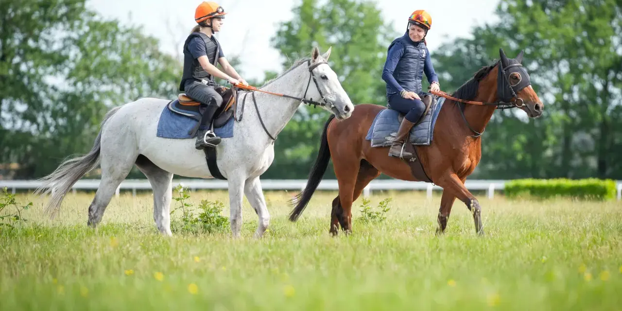 Deux cavalières en tenue de sport, casques orange, montent leurs chevaux dans un pré. L'une est sur un cheval blanc, l'autre sur un cheval bai. Une scène typique de BTS équitation.