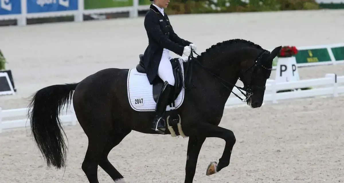 Une cavalière en tenue de **figure de dressage** exécute un mouvement gracieux avec son cheval noir dans une arène.