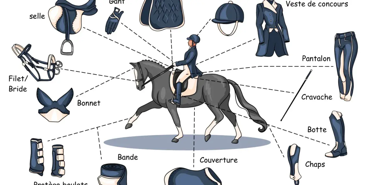 Illustration de l'équipement du cavalier : selle, filet, bonnet, gants, tapis, casque, veste, pantalon, cravache, bottes, chaps, protège boulets et bande.