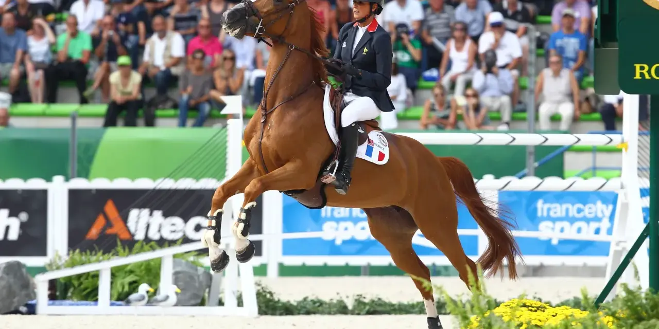 Une cavalière française, tel un papillon, s'envole avec son cheval au-dessus d'une barrière. La flora de mariposa, ici représentée par des fleurs jaunes, borde la piste.