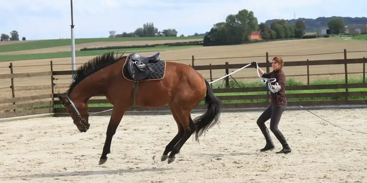 Une femme apprend à débourrer un cheval dans une carrière sablonneuse. Le cheval, sellé, semble réagir vivement.