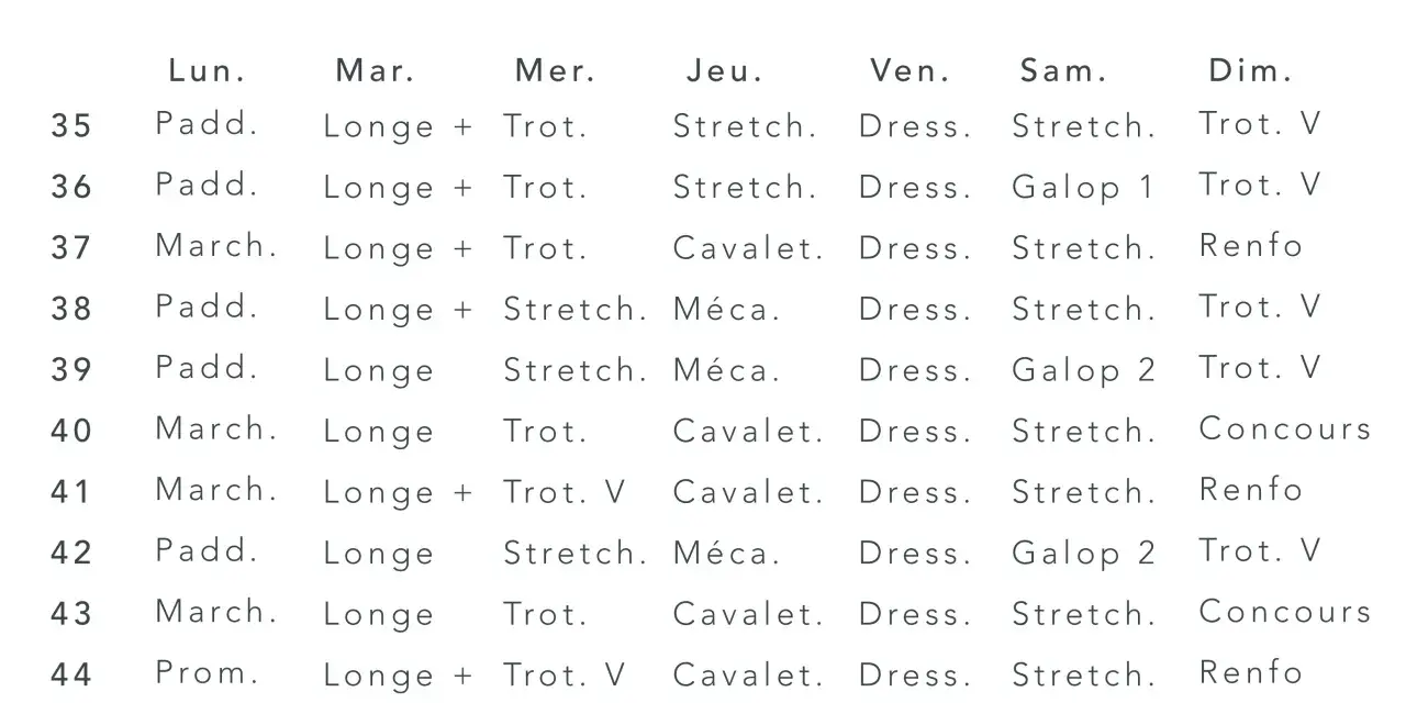 Planning de travail équestre pour 12 semaines, détaillant les activités quotidiennes comme le trot, le galop, le stretching et le dressage.