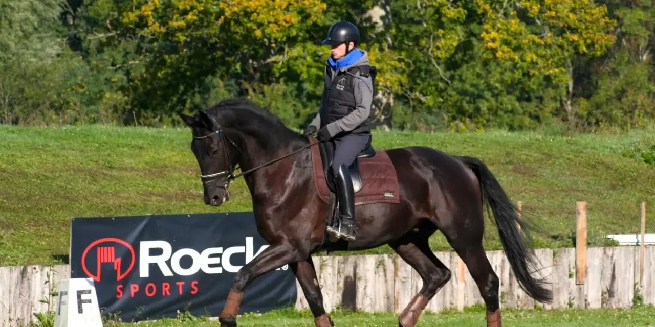 Un cavalier sur un cheval noir, en plein mouvement, démontrant une belle locomotion.