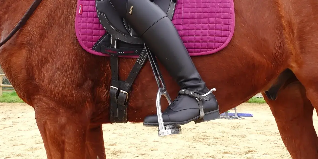 Jambes gainées sur un cheval bai, le pied dans l'étrier. Le cheval froid à la jambe semble prêt pour la leçon.