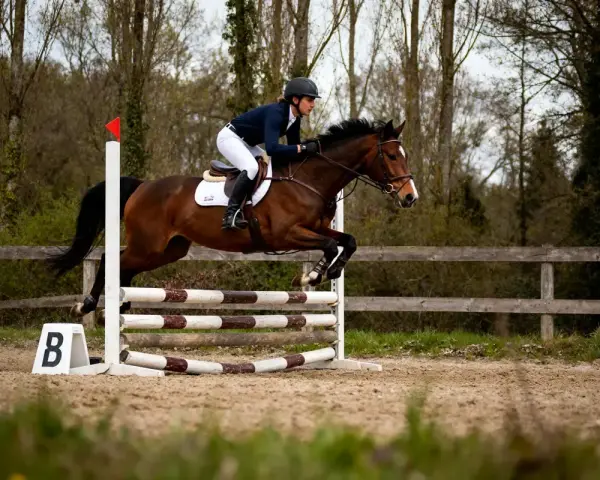Cavalier et cheval en pleine phase du saut cheval, franchissant un obstacle en extérieur.