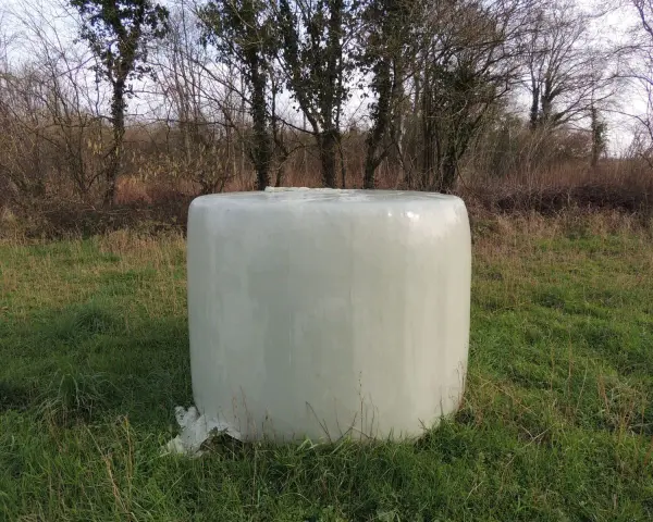 Une botte de foin enrubanné, prête pour les chevaux, repose dans un champ verdoyant, entourée d'arbres dénudés.