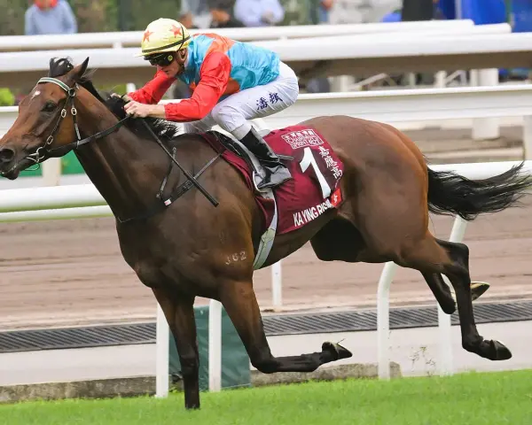 Un jockey sur un cheval brun, portant la casaque "KA YING RISING", participe à une course. Ces chevaux connus sont des athlètes d'exception.