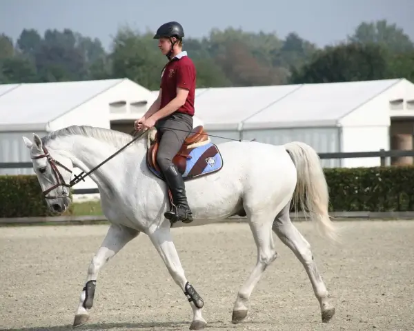 Un cavalier et son cheval blanc effectuent un exercice de dressage. Le cheval est en mouvement, la tête basse, montrant sa concentration.