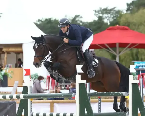 Cavalier et cheval sautant un obstacle lors des jeux équestres mondiaux.