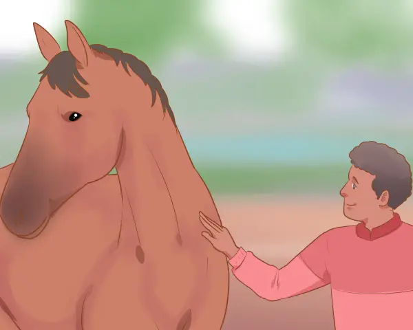 Un homme caresse un cheval, illustrant la communication animale cheval.