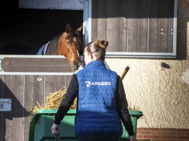 Une femme en gilet bleu s'occupe d'un cheval dans une écurie. Offre d'emploi écurie de chevaux de course.