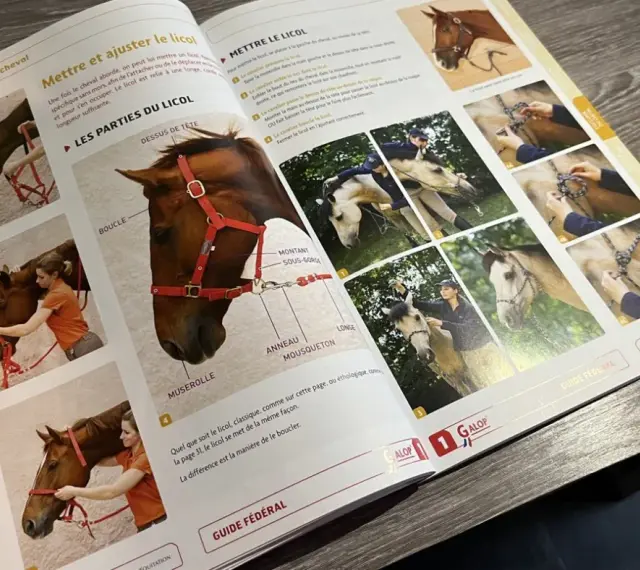 Manuel d'équitation montrant comment mettre un licol à un cheval. Des photos illustrent les étapes, du galop 1 à l'ajustement final.