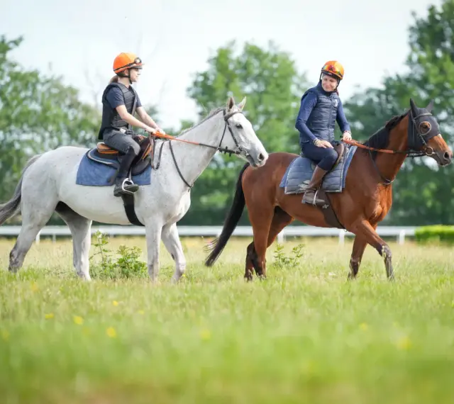 Deux cavalières en tenue de sport, casques orange, montent leurs chevaux dans un pré. L'une est sur un cheval blanc, l'autre sur un cheval bai. Une scène typique de BTS équitation.
