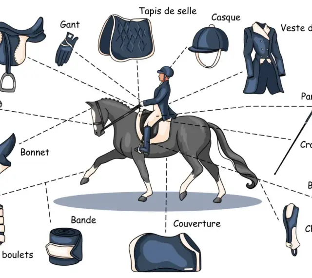 Illustration de l'équipement du cavalier : selle, filet, bonnet, gants, tapis, casque, veste, pantalon, cravache, bottes, chaps, protège boulets et bande.