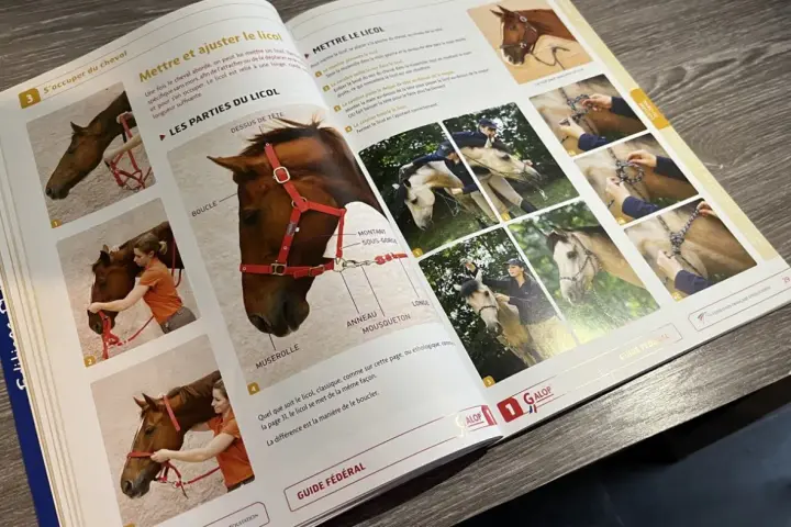 Manuel d'équitation montrant comment mettre un licol à un cheval. Des photos illustrent les étapes, du galop 1 à l'ajustement final.