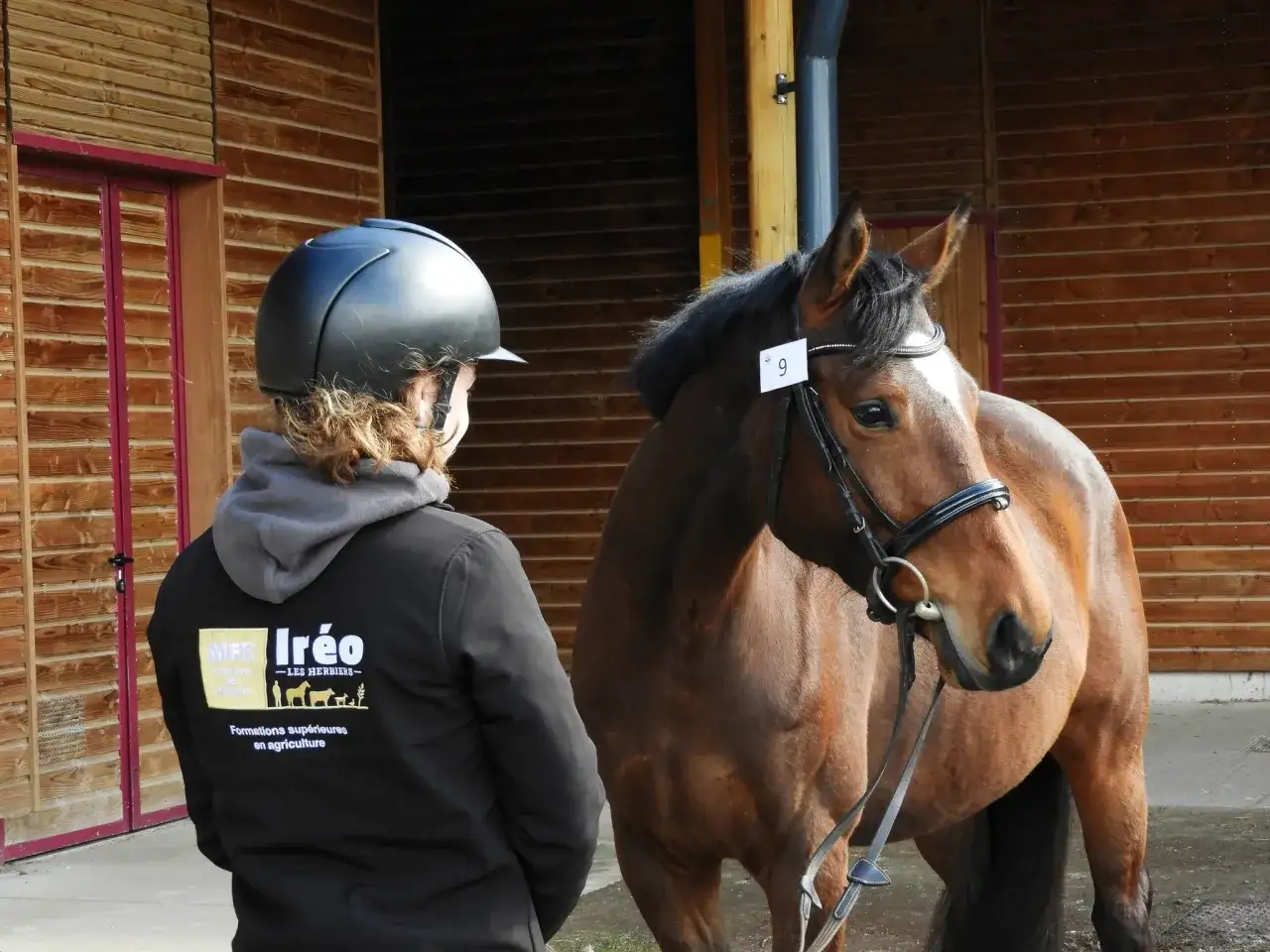 Élève en BTS équitation, casque sur la tête, face à un cheval bai portant le numéro 9.