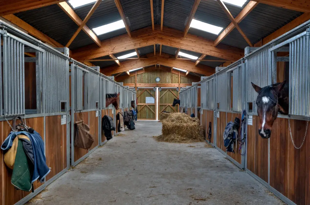 Intérieur d'une écurie avec des chevaux dans leurs box. Un tas de foin est visible, et on aperçoit un crottin de cheval sur le sol.