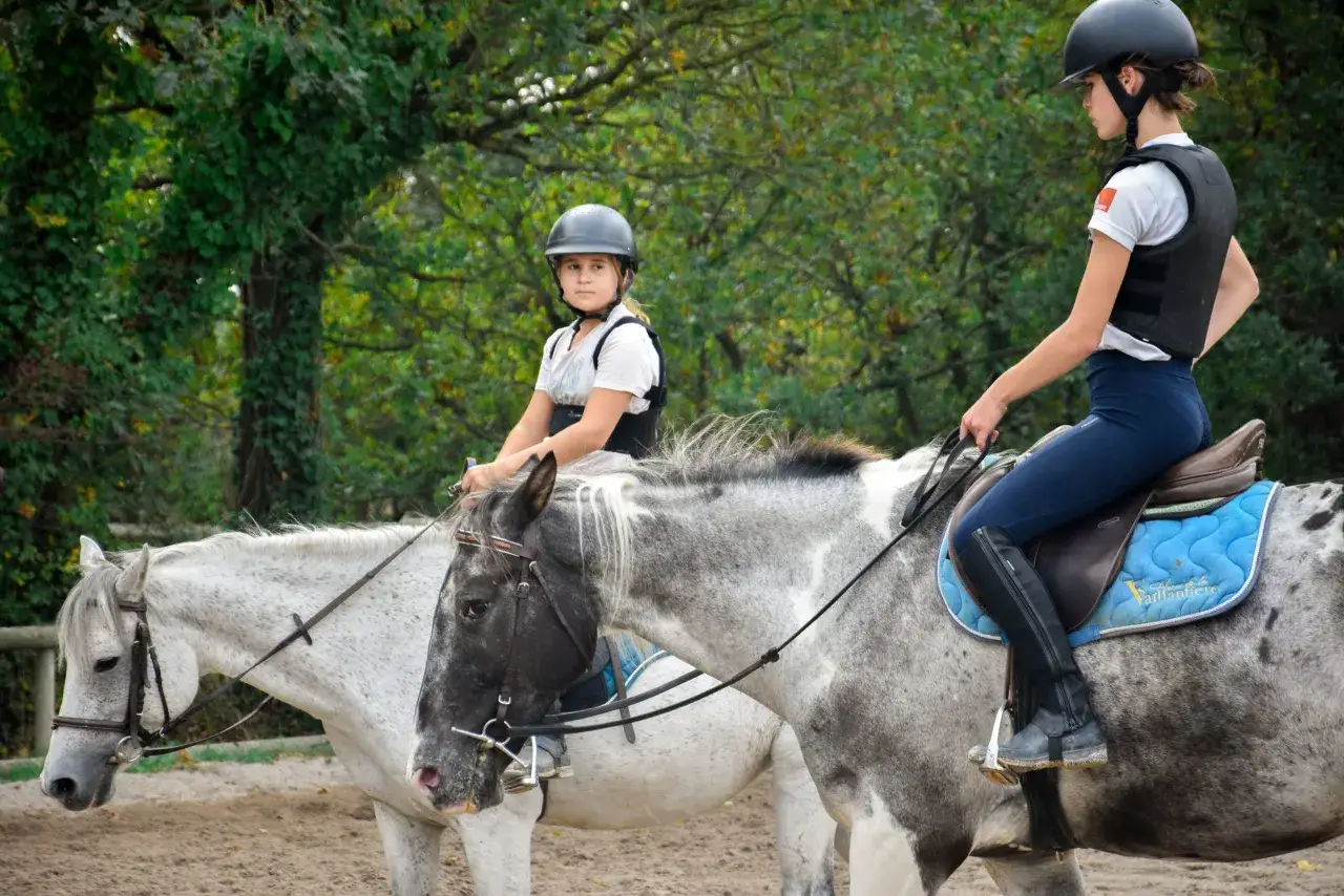 Deux cavalières en formation cheval pour adulte, casquées et protégées, montent des chevaux gris mouchetés dans un manège.