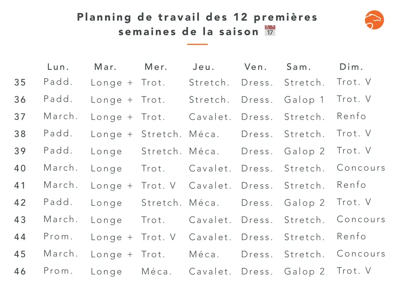 Planning de travail hebdomadaire pour un cheval, incluant des séances de paddock, longe, trot, stretch, dressage, galop, mécanique, et concours.