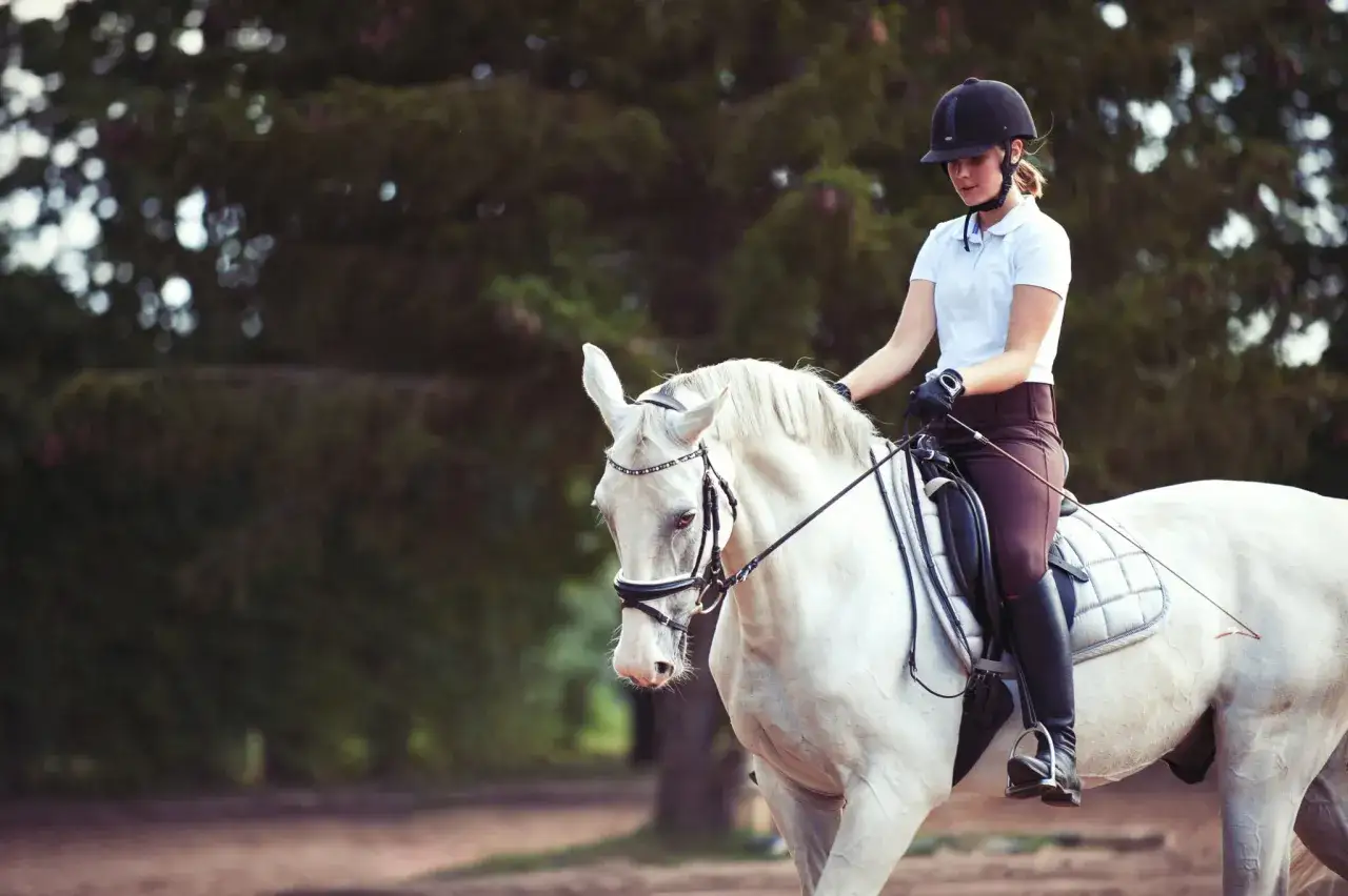 Une cavalière en tenue d'équitation dirige un cheval blanc. L'incurvation du cheval est subtile, montrant sa souplesse.