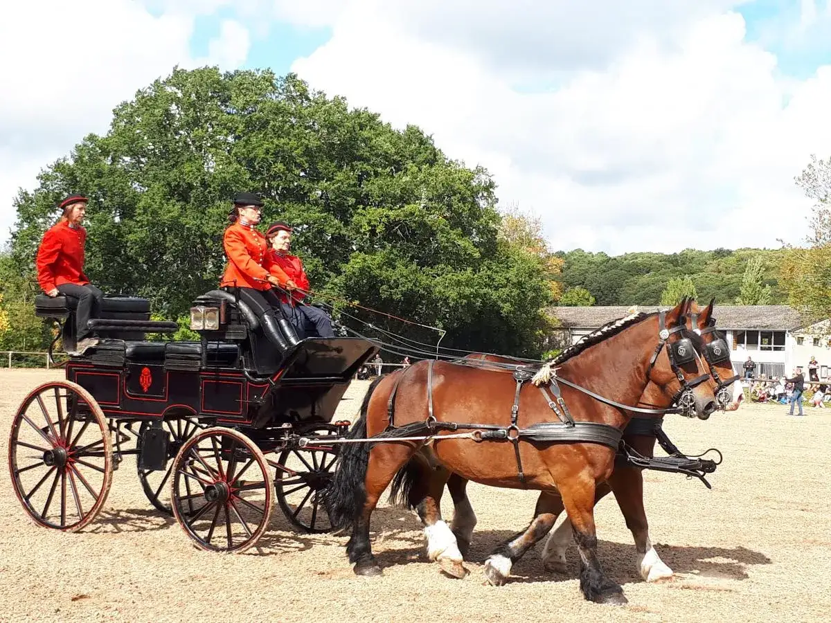 Un magnifique cheval de trait tire une calèche noire ornée de rouge, avec trois personnes en tenue d'apparat.