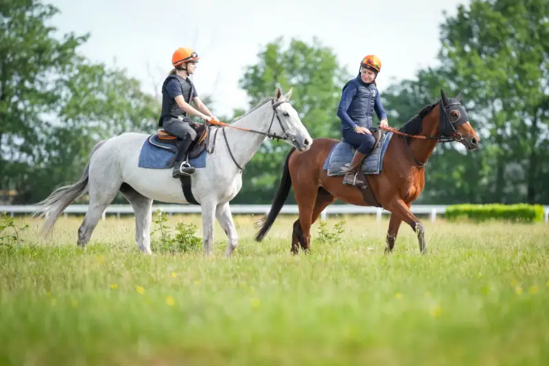 Deux cavalières en tenue de sport, casques orange, montent leurs chevaux dans un pré. L'une est sur un cheval blanc, l'autre sur un cheval bai. Une scène typique de BTS équitation.