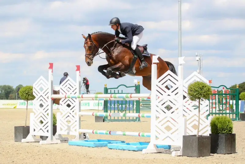 Un cavalier et son cheval, un étalon kannan, franchissent un obstacle lors d'une compétition d'équitation.